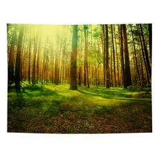 창문패브릭포스터