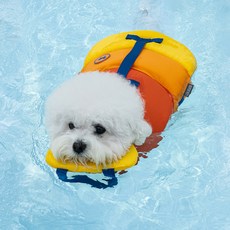 DOG-i 狗狗浮力救生衣, 1個, 水果