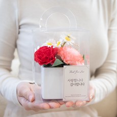 아스파시아 조화 플로리 카네이션 비누꽃 화분 + 케이스 + 메시지 카드 + 용돈 봉투 세트, 레드, 1세트 레드, 1세트