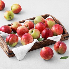 효성팜 신비복숭아, 1.5kg(17~21입), 1개 1.5kg(17~21입), 1개