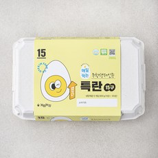 무항생제 인증 계림농장 매일먹는 특란, 1개, 15구