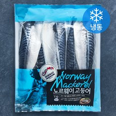 노르웨이산 고등어살 (냉동), 1kg, 1개