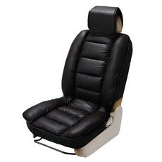 디트로네리무진