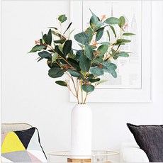 유칼립투스씨앗