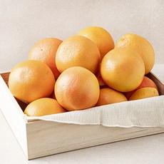 만나다 남아공산 자몽, 16kg, 1박스