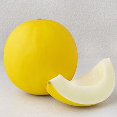 미국산 골든 허니듀 메론, 1개, 1.6kg 이상