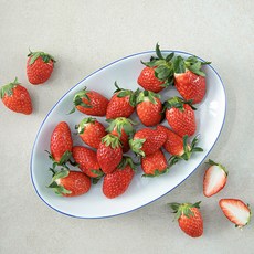 새벽경매 상큼한 장희 딸기, 500g, 1팩