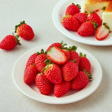 퓨어웍스코리아 딸기, 1개, 300g(30과)