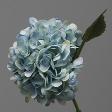 수국조화 TOP01