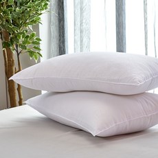 휴고하우스 휴비스 베개솜 2p