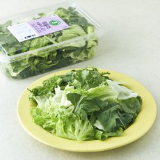 그린래빗 루꼴라 & 샐러드 Kit, 180g, 1개 180g, 1개