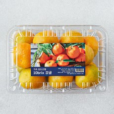 가족 당도선별 10brix 감귤, 800g(소과), 1개