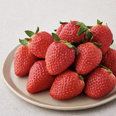 다미팜 한단 금실딸기 대과, 500g, 1팩