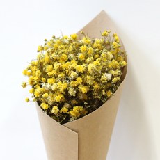 ROMANTIC NOVEMBER 浪漫無會員乾花迷你花束工藝, 霧花黃色