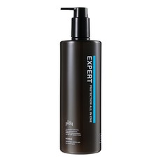 피엘디크 엑스퍼트 프로텍션 남성 올인원, 500ml, 1개 - 엑스퍼트