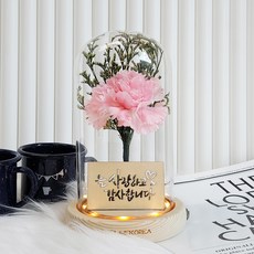 Thelimekorea 簡約康乃馨玻璃罩, 粉色