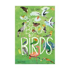 The Big Book of Birds, ThamesandHudson