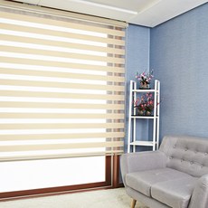 샐리나스블라인드차이점