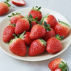 제이드가든 산지직송 설향 딸기, 750g(특대과), 1팩