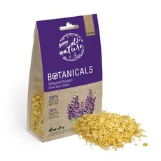 엘로디디테일버니