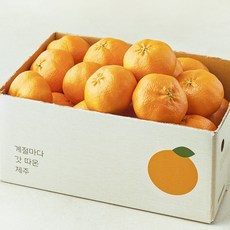 깨비농원 레드향 중과, 1박스, 4.5kg