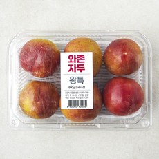 한들 와촌 자두, 1개, 800g(왕특)