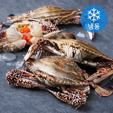 피시원 국내산 알 봄암꽃게 (냉동), 1kg(4미), 1개