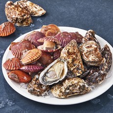 아라보감 산지직송 캠핑용 조개구이 홍가리비 2kg + 개체굴 2kg 세트 (냉장), 1세트