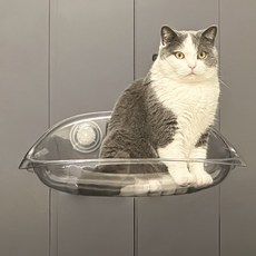 DING DONG PET 貓咪Stay吸附窩吊床, 透明