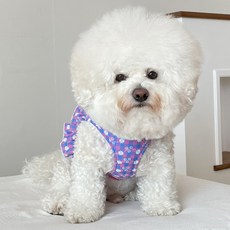 미피하네스