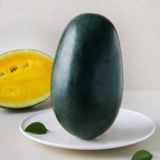 드림팜 망고수박, 1개, 4kg미만