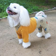 오즈세컨양말