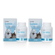 핏펫 베터 강아지 고양이 영양제, 루테인 영양제 90g (눈건강), 2개입