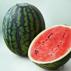 한반도 양구 당도선별 하우스 수박, 10kg 미만, 1개
