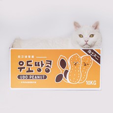 바잇미필소굿펫티슈