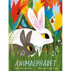 노부영 Animalphabet, Macmillan Children's Books