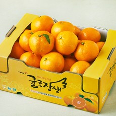 귤로장생 GAP 인증 당도선별 10brix 감귤, 3kg(대과), 1개