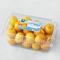 바당바름 GAP 인증 10brix 감귤, 1.2kg(꼬마과), 1개