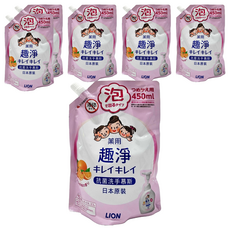 LION 獅王 趣淨 洗手慕斯補充包 清爽柑橘, 450ml, 6包