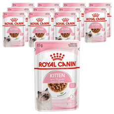 ROYAL CANIN 法國皇家 主食濕糧 4~12個月幼貓適用, 85g, 12包