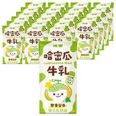 波蜜 果汁牛乳哈密瓜牛奶 24入, 補充β-胡蘿蔔素及牛乳營養, 特選紐西蘭優質乳源, 160ml