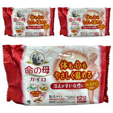 命之母 黏貼式漢方暖暖包，溫熱效果持續12小時，艾草肉桂生薑香料，舒緩生理期不適, 3包