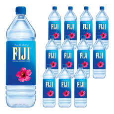FIJI 斐濟 天然自流水, 1.5L, 12瓶