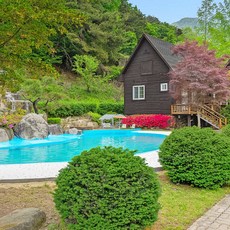 [원주시] 원주 트리밸리펜션