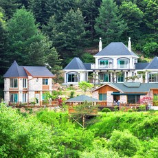 비발디오션월드티켓팝니다