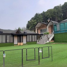 청도레일바이크