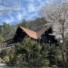 dcs비발디