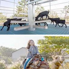익스트림체험
