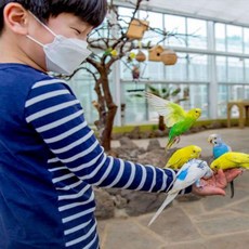 공정과상식으로만들어가는새로운대한민국