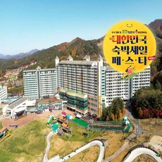 웰리힐리 TOP01